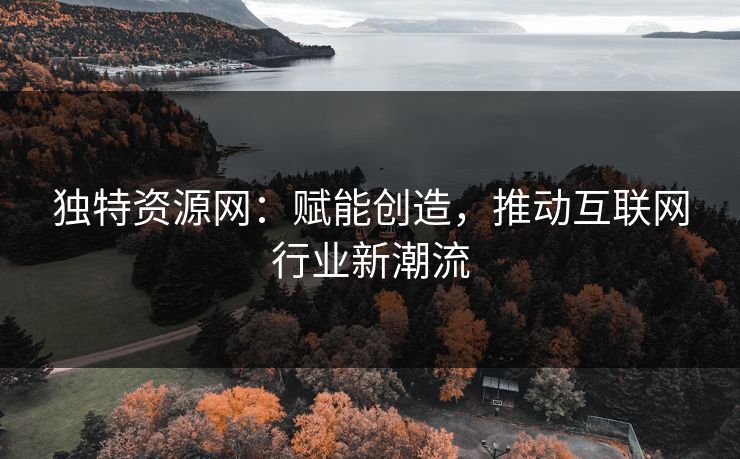 独特资源网：赋能创造，推动互联网行业新潮流